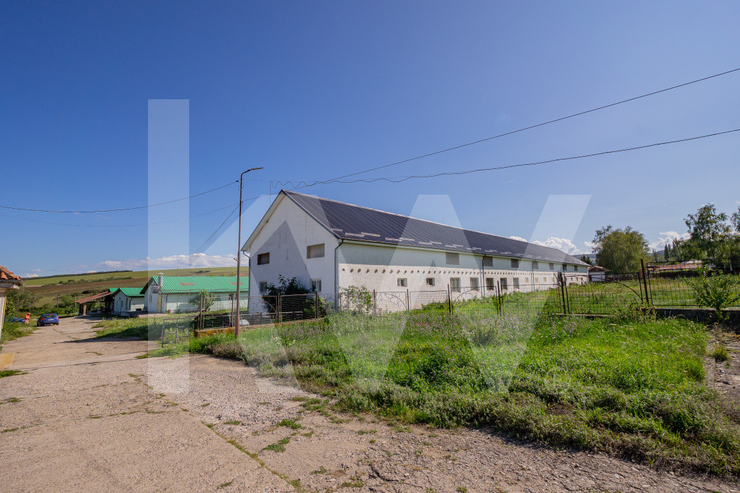 Complex industrial funcțional cu hale, teren generos cu acces A1-Sebes - Sibiu