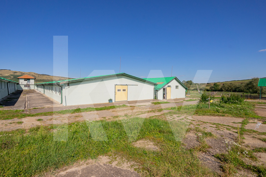 Complex industrial funcțional cu hale, teren generos cu acces A1-Sebes - Sibiu