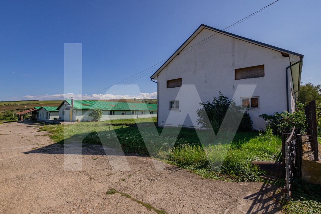 Complex industrial funcțional cu hale, teren generos cu acces A1-Sebes - Sibiu