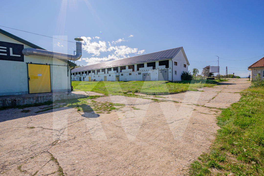 Complex industrial funcțional cu hale, teren generos cu acces A1-Sebes - Sibiu