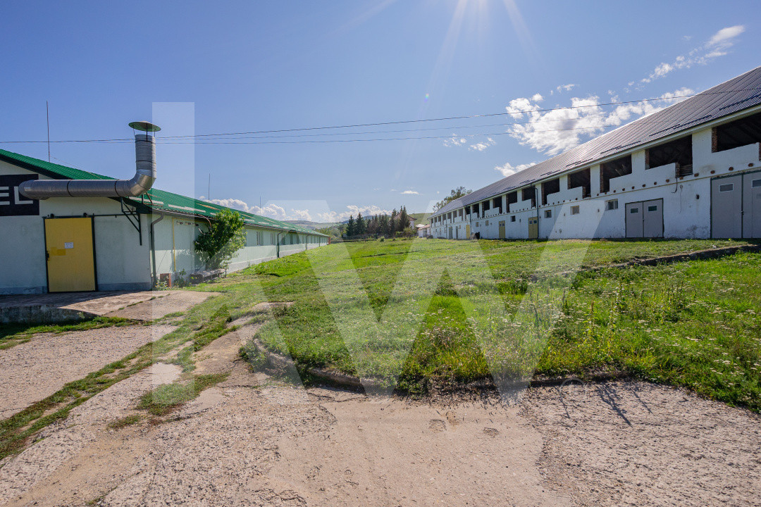 Complex industrial funcțional cu hale, teren generos cu acces A1-Sebes - Sibiu