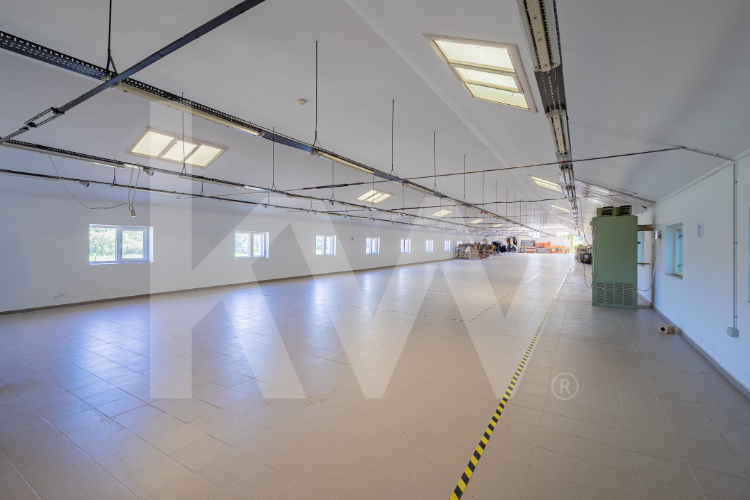 Complex industrial funcțional cu hale, teren generos cu acces A1-Sebes - Sibiu