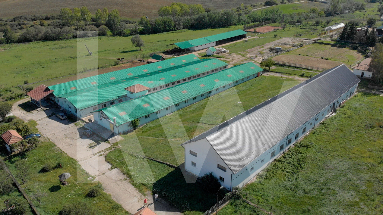 Complex industrial funcțional cu hale, teren generos cu acces A1-Sebes - Sibiu