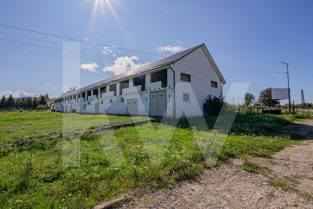 Complex industrial funcțional cu hale, teren generos cu acces A1-Sebes - Sibiu