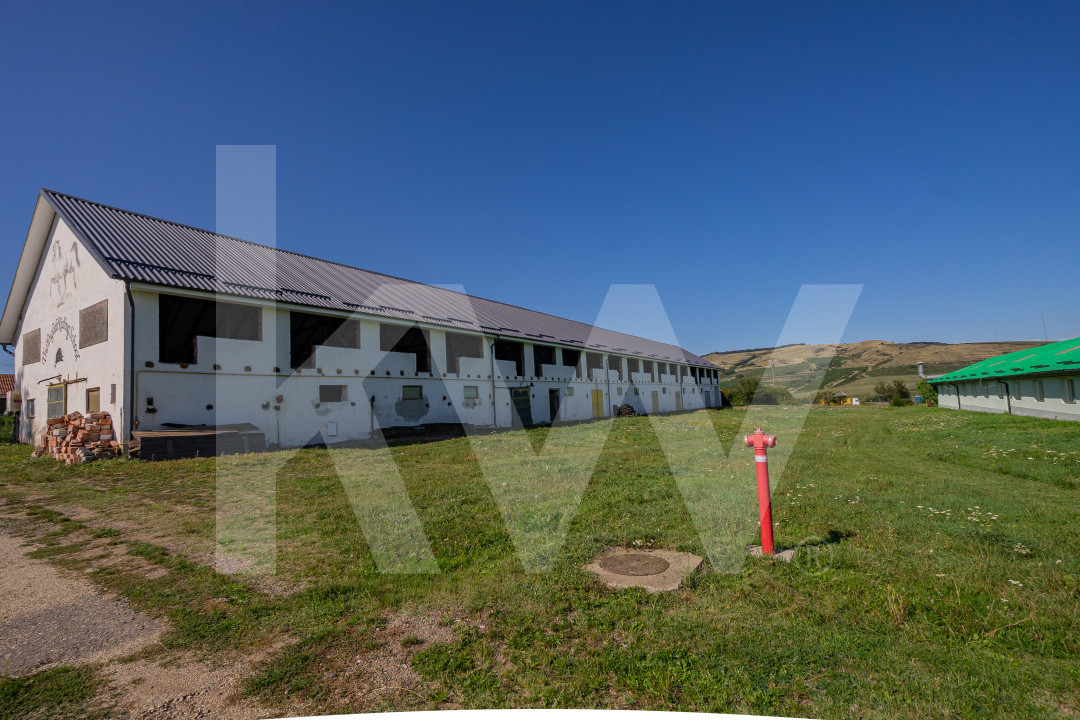 Complex industrial funcțional cu hale, teren generos cu acces A1-Sebes - Sibiu