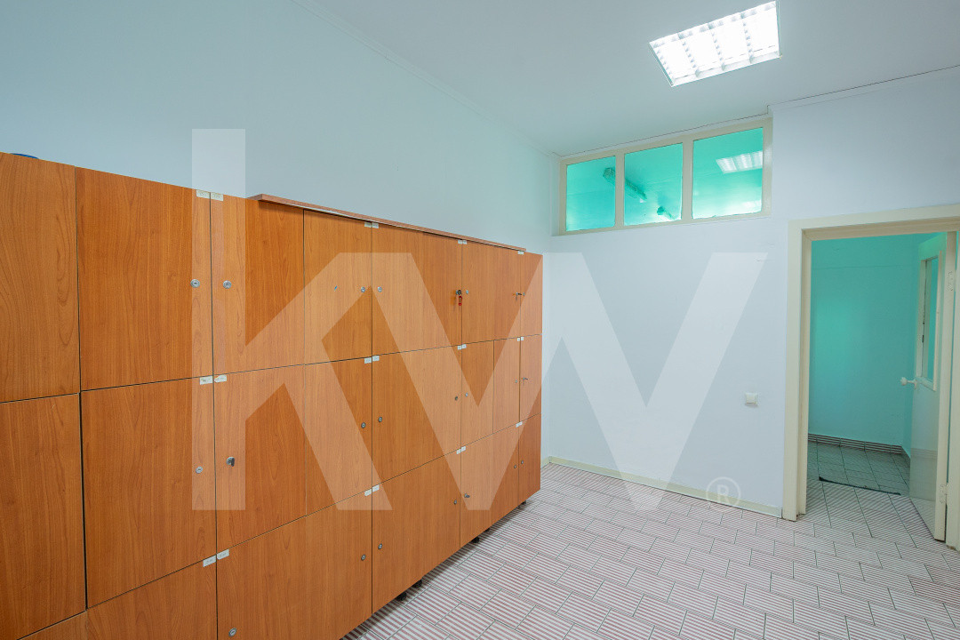 Complex industrial funcțional cu hale, teren generos cu acces A1-Sebes - Sibiu