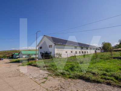 Complex industrial funcțional cu hale, teren generos cu acces A1-Sebes - Sibiu