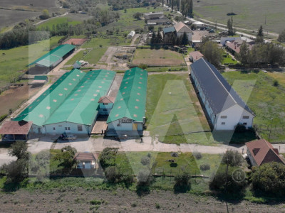 Complex industrial funcțional cu hale, teren generos cu acces A1-Sebes - Sibiu