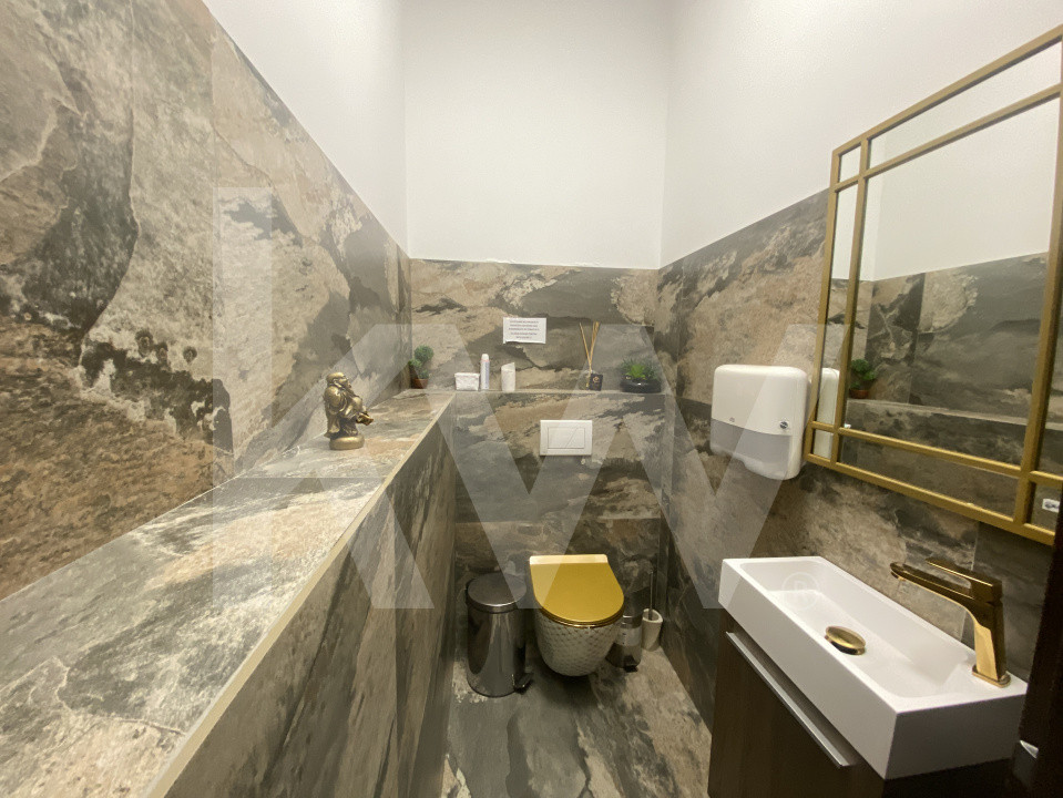 Spatiu comercial stradal 128mp terasa 120mp 8loc parcare Doamna Stanca