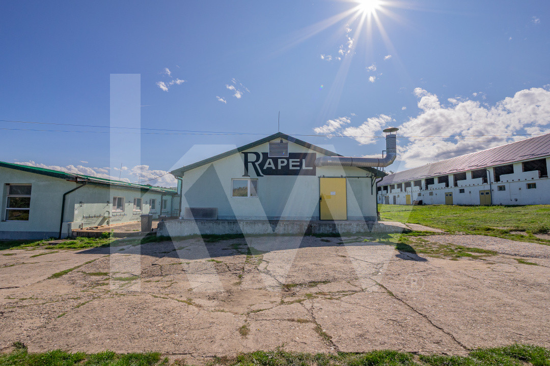 Hala de productie functionala, 790mp, Sebes