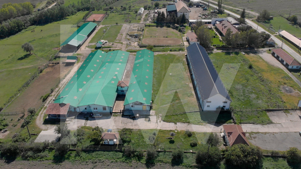 De vanzare | Hala industriala | productie | depozitare | 1023mp | Sebes