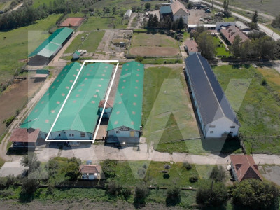 De vanzare | Hala industriala | productie | depozitare | 1023mp | Sebes