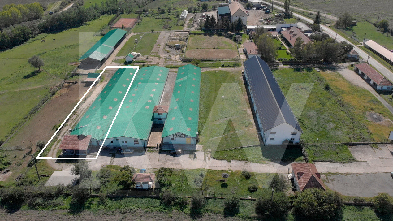 Hală industrială | producție | depozitare | cantină | 826mp | Sebeș