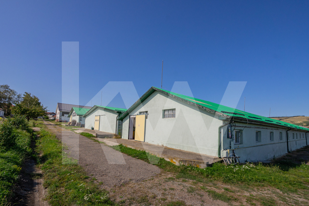 Hală industrială | producție | depozitare | cantină | 826mp | Sebeș