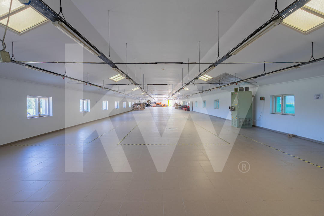 Hală industrială | producție | depozitare | cantină | 826mp | Sebeș