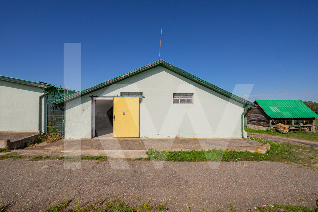 Hală industrială | producție | depozitare | cantină | 826mp | Sebeș