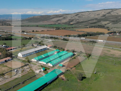 Hală industrială | producție | depozitare | cantină | 826mp | Sebeș