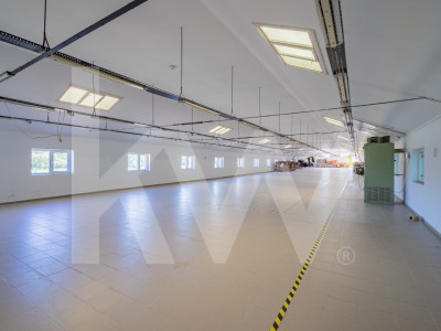 Hală industrială | producție | depozitare | cantină | 826mp | Sebeș