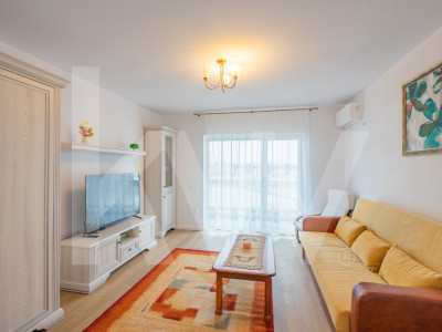 Apartament curat 2 camere, prima inchiriere, Doamna Stanca, Selimbar