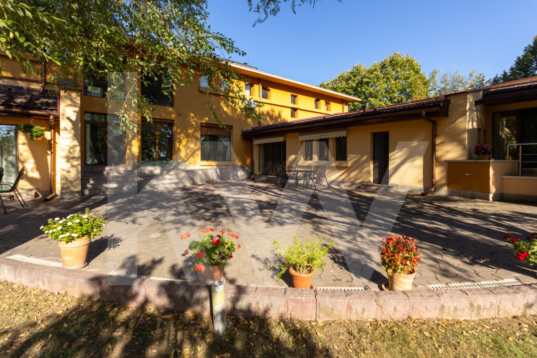 Proprietate Unică în Frumușani – Spațiu, Eleganță și Potențial 