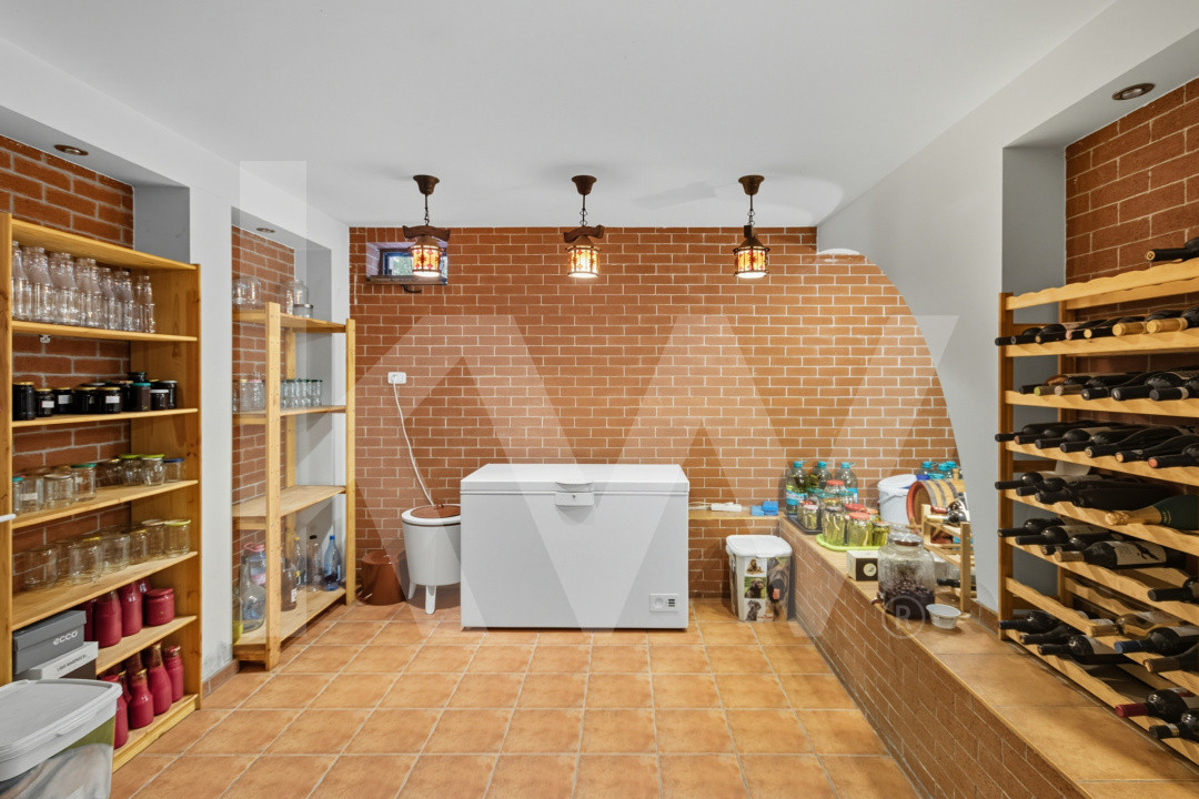 Proprietate Unică în Frumușani – Spațiu, Eleganță și Potențial 