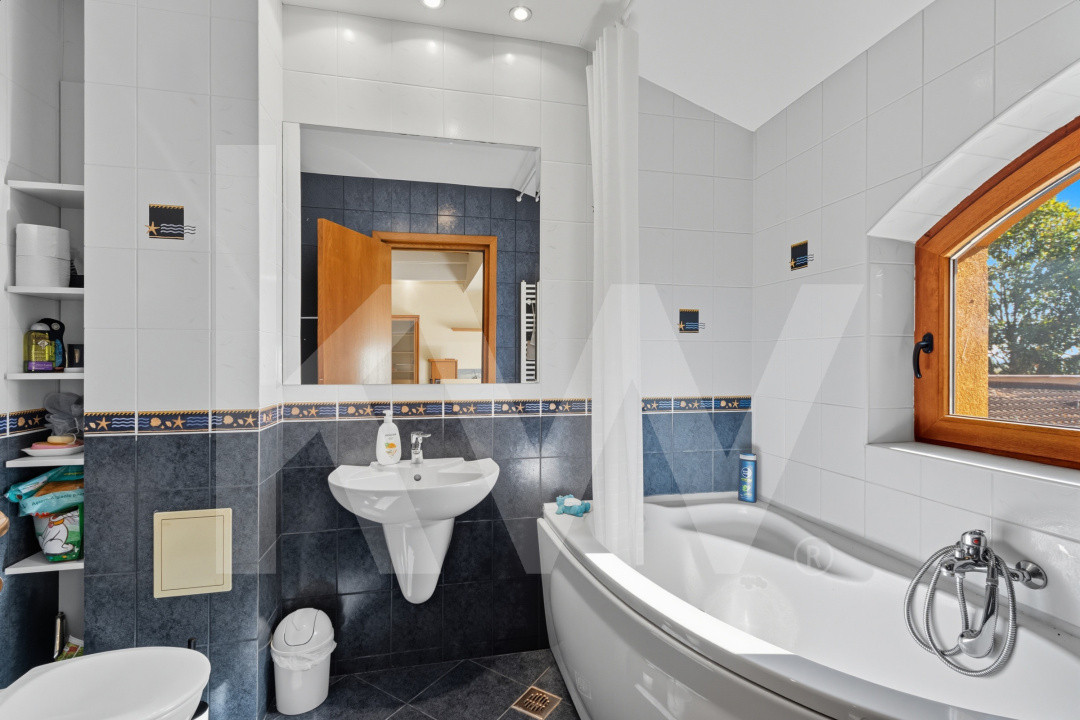 Proprietate Unică în Frumușani – Spațiu, Eleganță și Potențial 