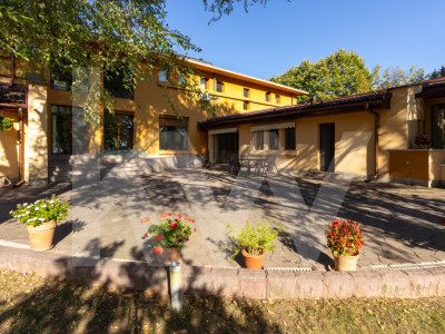 Proprietate Unică în Frumușani – Spațiu, Eleganță și Potențial 