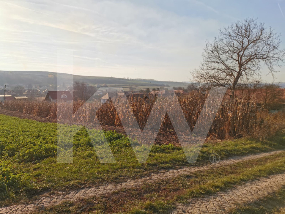 Teren intravilan 1152 mp acces la 2 drumuri ideal pt casa Rusi-Slimnic Sibiu