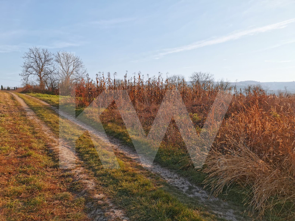 Teren intravilan 1152 mp acces la 2 drumuri ideal pt casa Rusi-Slimnic Sibiu