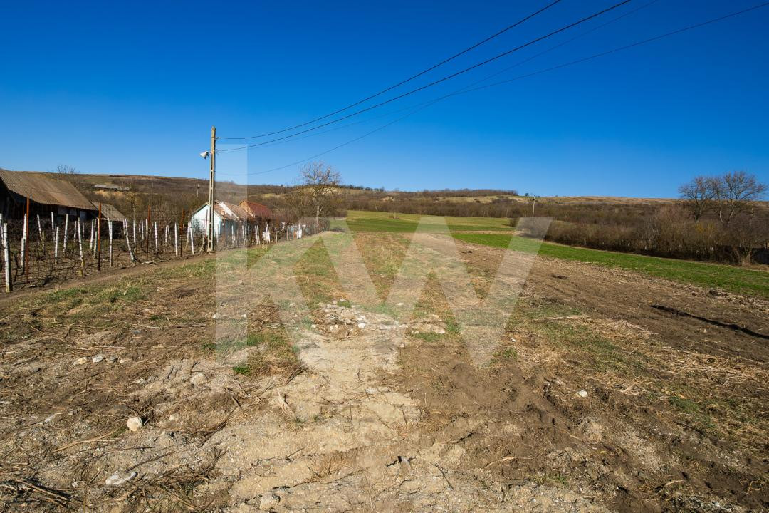 Teren intravilan de constructie, loc de casa, 1152mp, Sibiu
