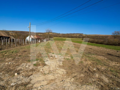 Teren intravilan de constructie, loc de casa, 1152mp, Sibiu