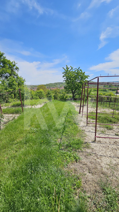 Casa cu poveste si potential – locul perfect pentru un nou inceput in Seica Mare