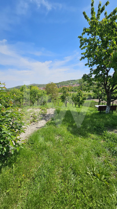 Casa cu poveste si potential – locul perfect pentru un nou inceput in Seica Mare