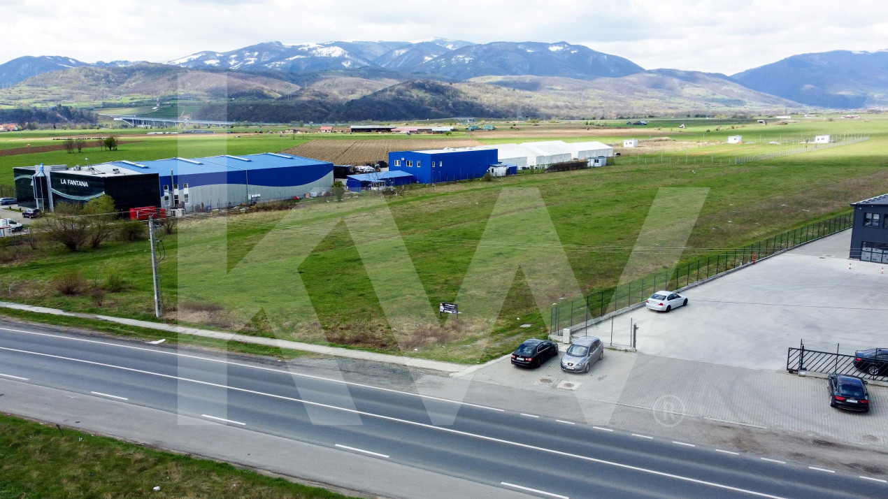 Oportunitate de Investiție sau Construcție Hală – Teren 3.900 mp | Tălmaciu