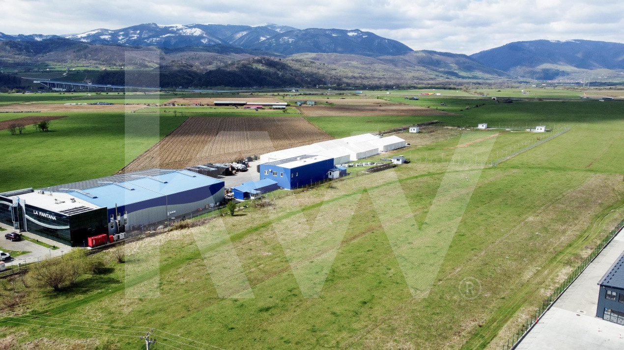 Oportunitate de Investiție sau Construcție Hală – Teren 3.900 mp | Tălmaciu