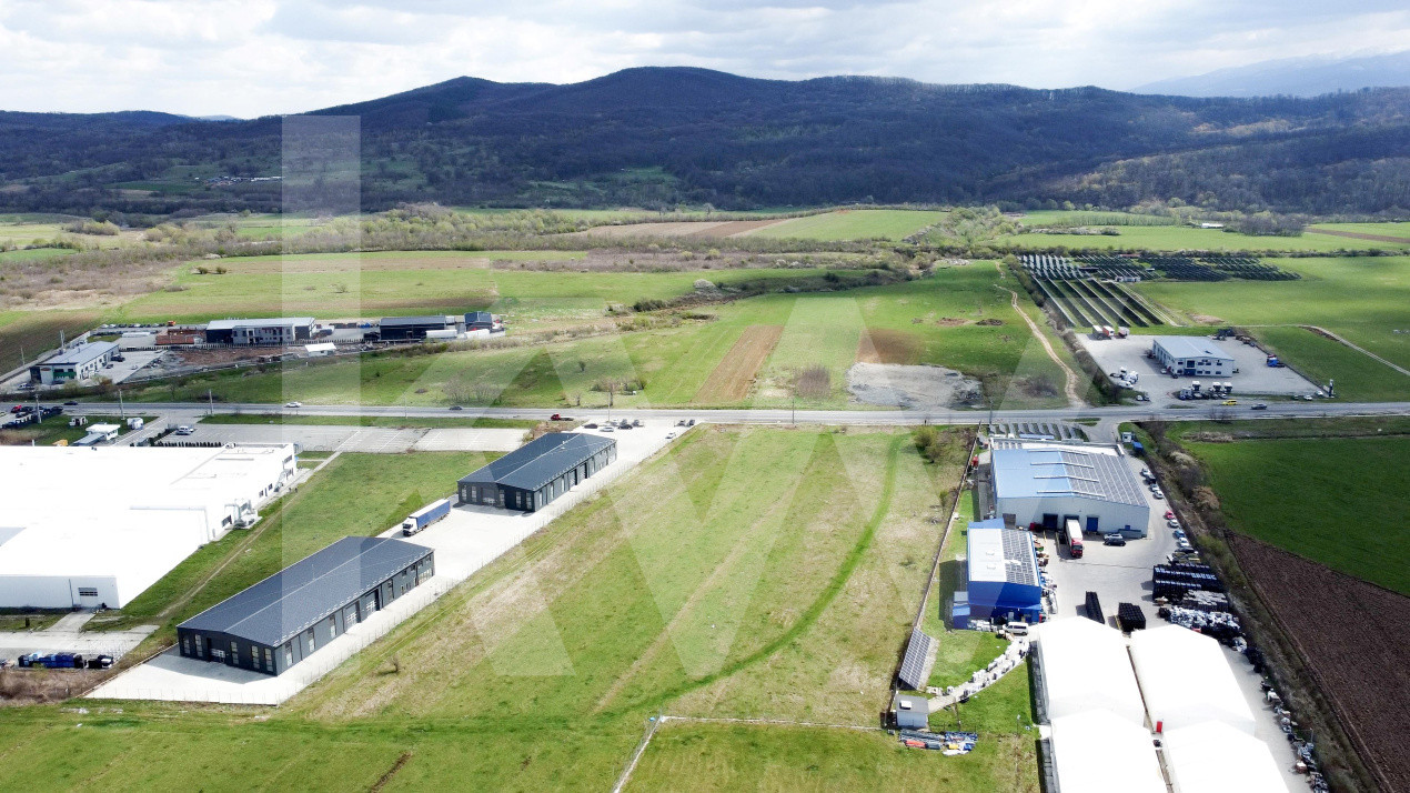 Oportunitate de Investiție sau Construcție Hală – Teren 3.900 mp | Tălmaciu