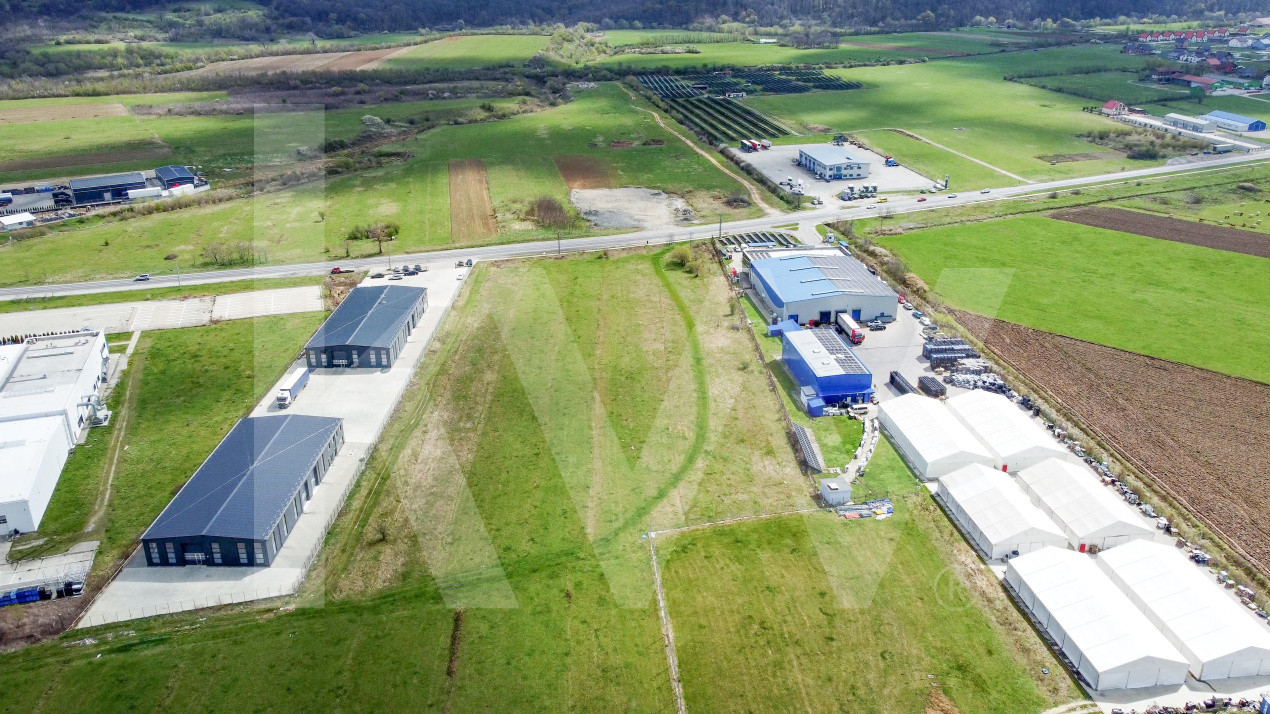 Oportunitate de Investiție sau Construcție Hală – Teren 3.900 mp | Tălmaciu