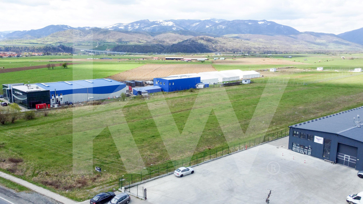 Oportunitate de Investiție sau Construcție Hală – Teren 3.900 mp | Tălmaciu