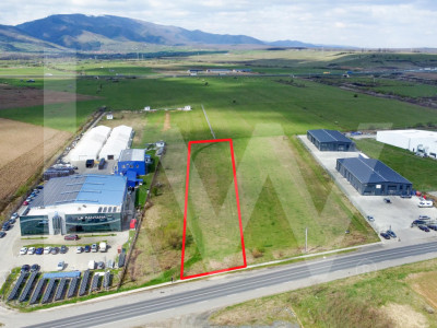 Oportunitate de Investiție sau Construcție Hală – Teren 3.900 mp | Tălmaciu