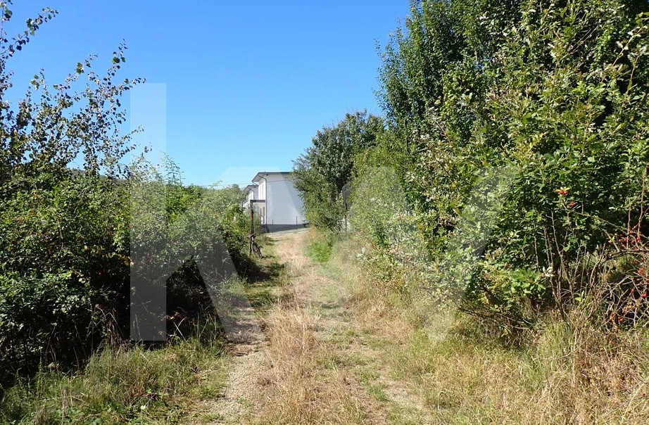 Teren intravilan de 1409 mp cu PUZ - Cisnadioara