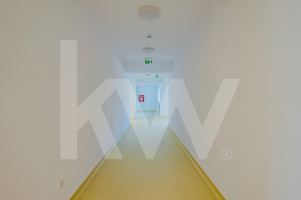 Cămin privat, Centru Rezidențial pentru Seniori la cheie, Petresti, Sebes-Alba