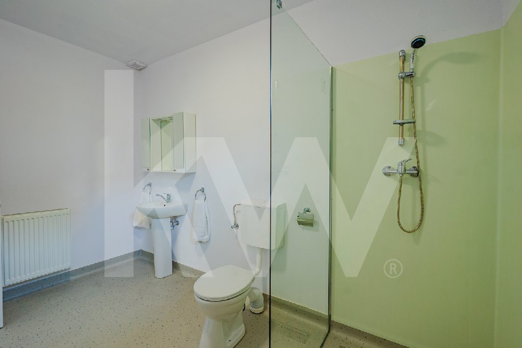 Cămin privat, Centru Rezidențial pentru Seniori la cheie, Petresti, Sebes-Alba