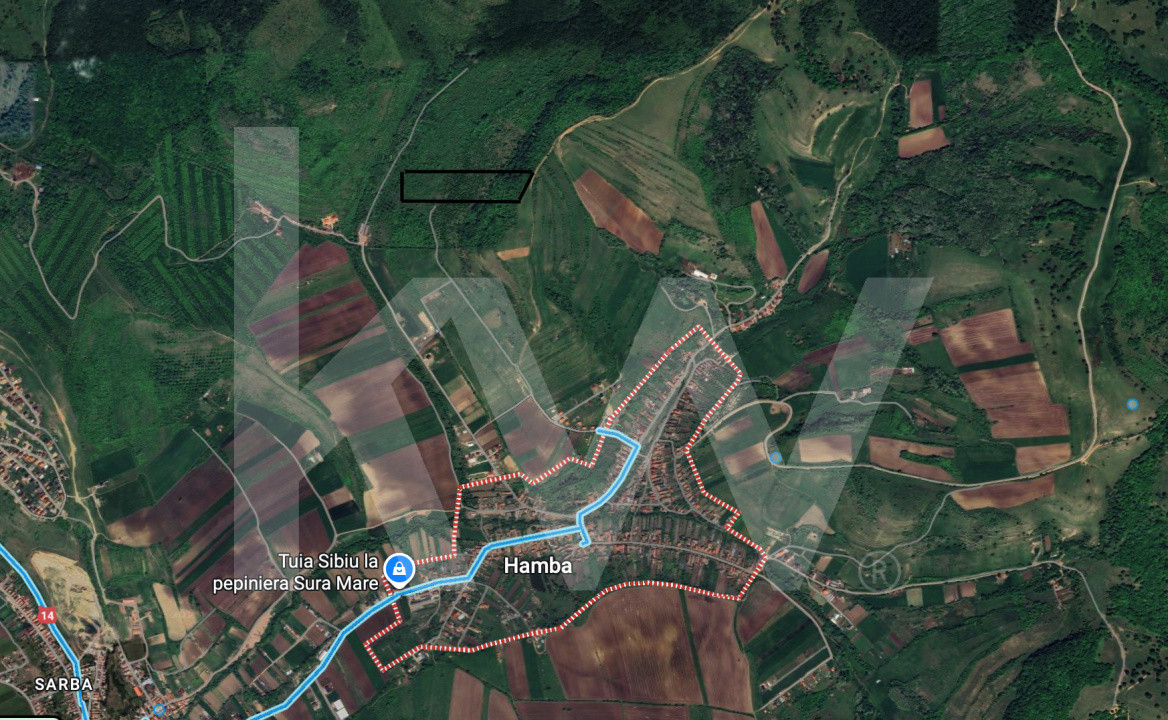 Teren Extravilan de vânzare, Hamba (Sibiu), 38.400 mp (3,84 ha), Pret competitiv
