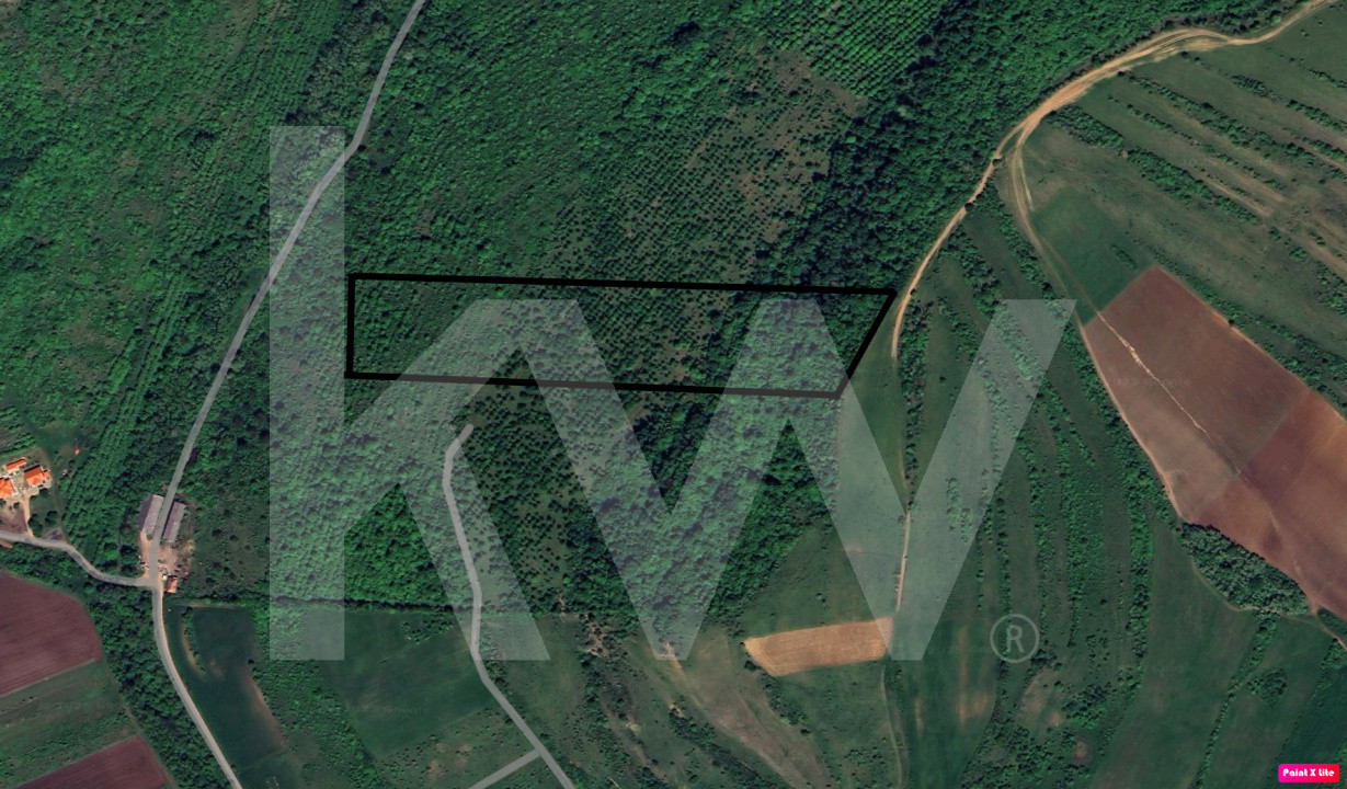 Teren Extravilan de vânzare, Hamba (Sibiu), 38.400 mp (3,84 ha), Pret competitiv