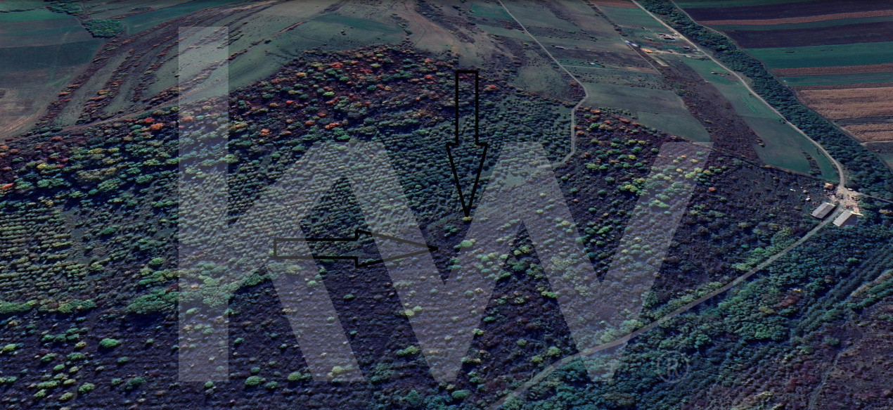 Teren Extravilan de vânzare, Hamba (Sibiu), 38.400 mp (3,84 ha), Pret competitiv