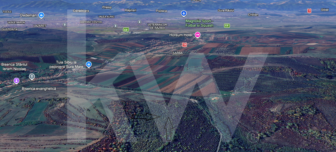 Teren Extravilan de vânzare, Hamba (Sibiu), 38.400 mp (3,84 ha), Pret competitiv