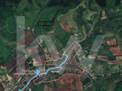 Teren Extravilan de vânzare, Hamba (Sibiu), 38.400 mp (3,84 ha), Pret competitiv