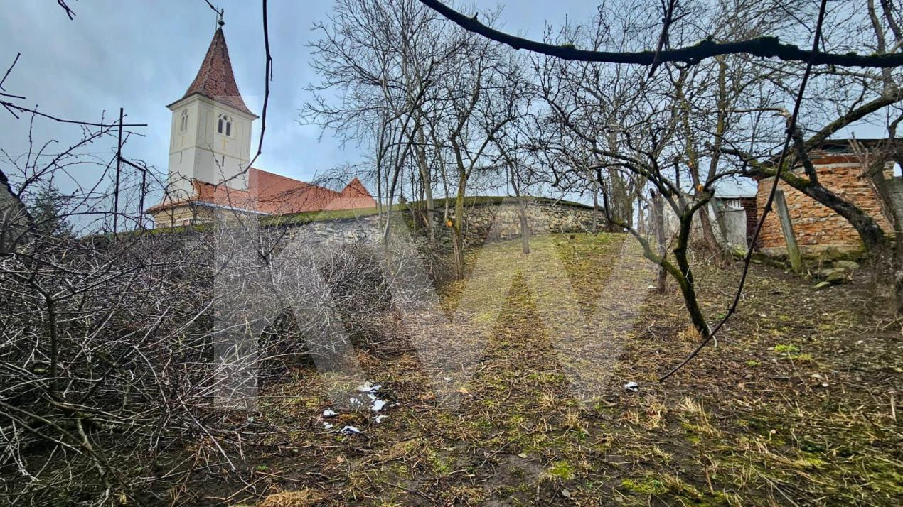 Tradiție și potențial: casă cu șură, utilități complete, Turnu Roșu