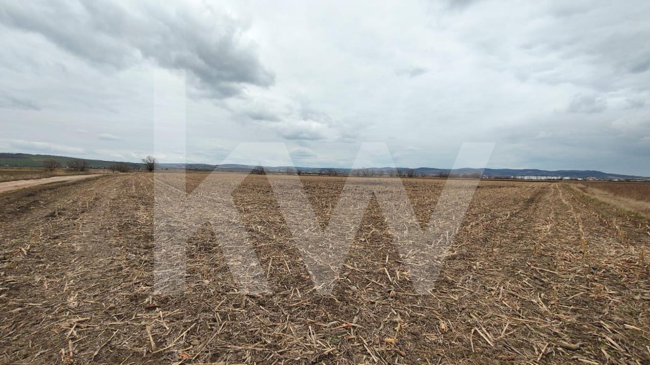 Teren Intravilan 21.439mp S+P+3E+ER deschidere 77m  Calea Surii Mici