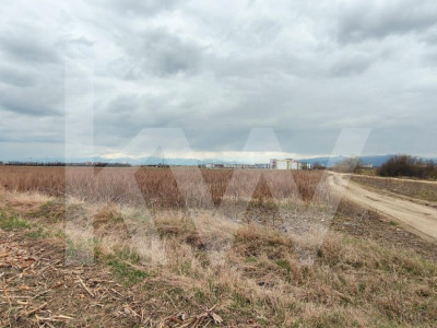 Teren Intravilan 21.439mp S+P+3E+ER deschidere 77m  Calea Surii Mici